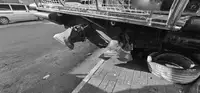 Lootsboot te koop