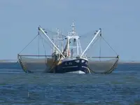 Trawler Te koop