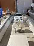 Werkboten te koop