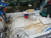 Trawler te koop