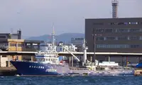Purse seiner Te koop