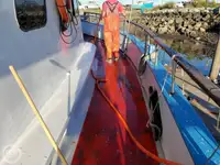 Veerboot te koop