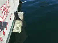 Trawler te koop
