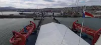 Bulkcarrier te koop
