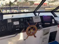 Catamaran te koop