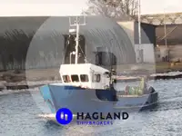 Levende visdrager Te koop