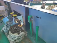 Containerschip te koop