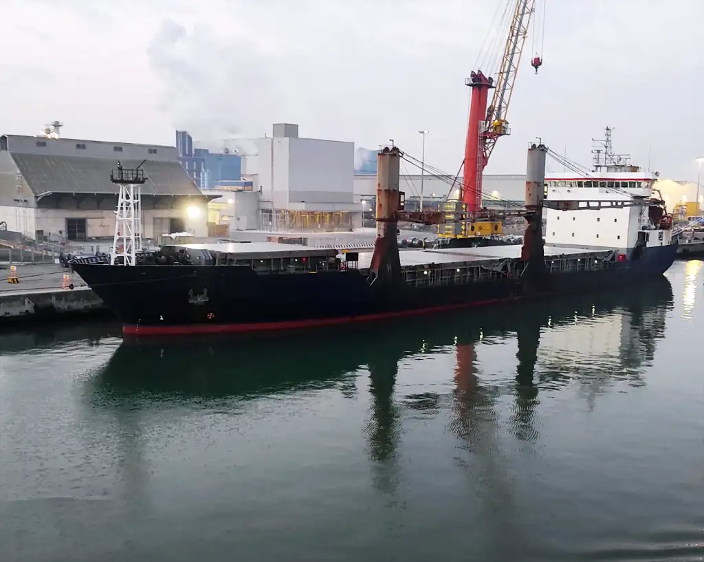 Bulkcarrier te koop