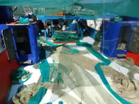 Trawler Te koop