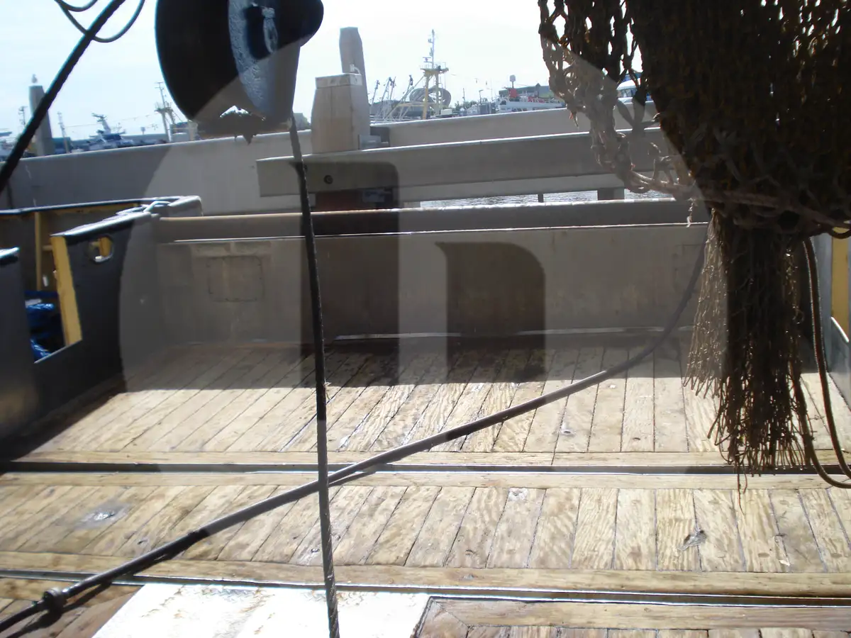 Levend vis transport schip te koop