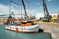 Trawler te koop