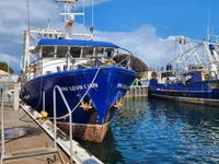 Trawler te koop
