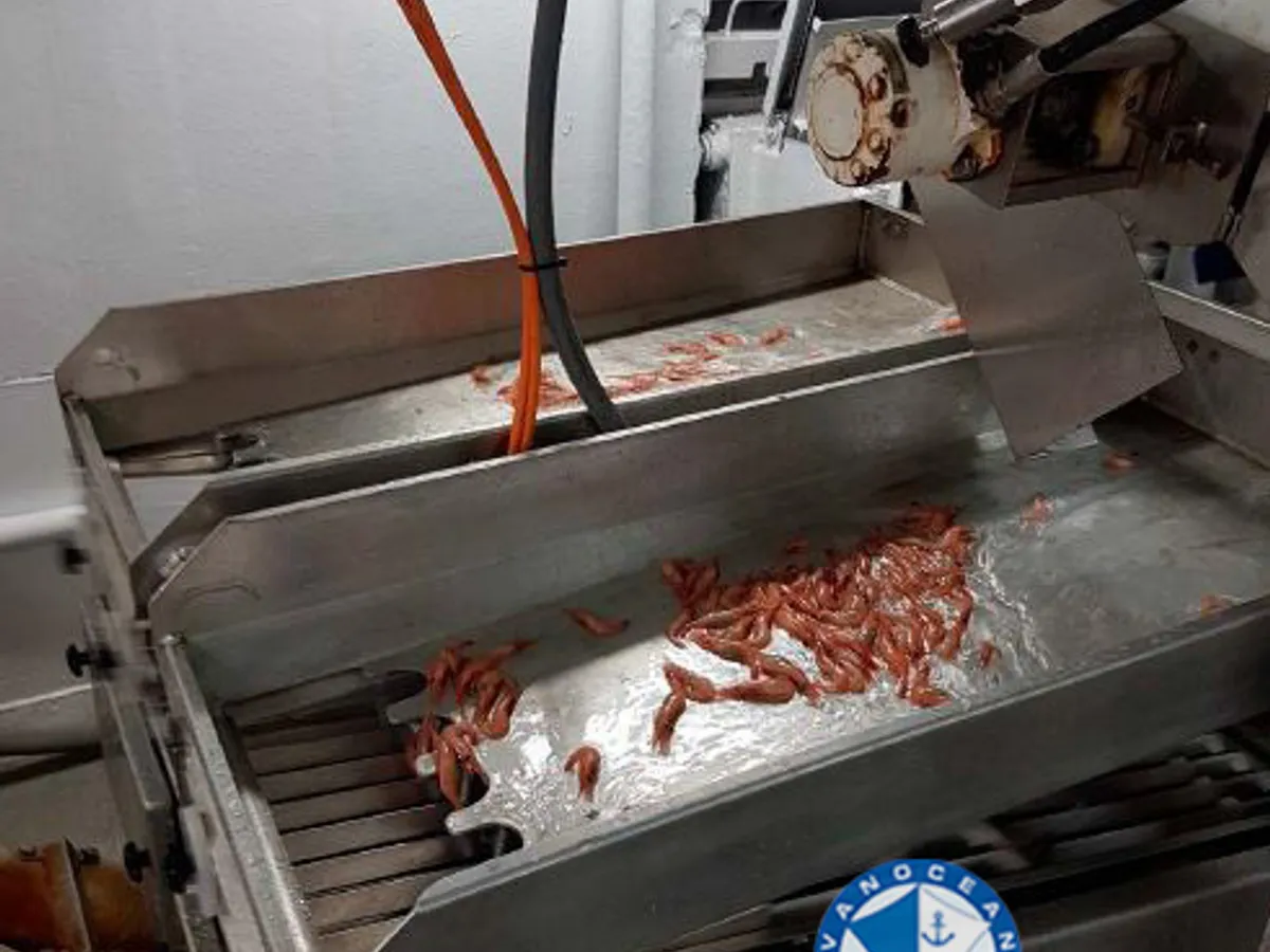 Trawler te koop