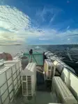 Containerschip te koop
