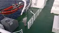Ro-Ro-schip te koop