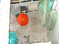 Beurtvisser te koop