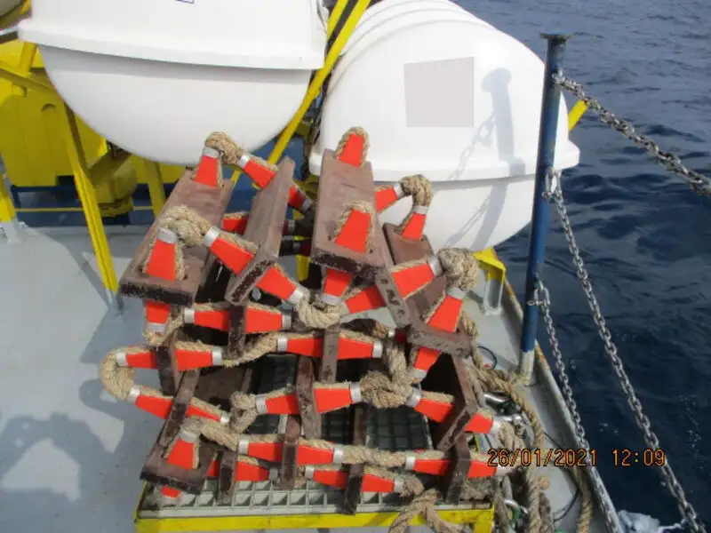 Koelschip te koop