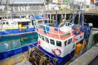 LNG-schip te koop