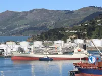 Koelschip te koop