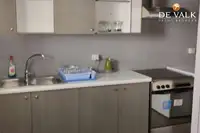 Veerboot te koop