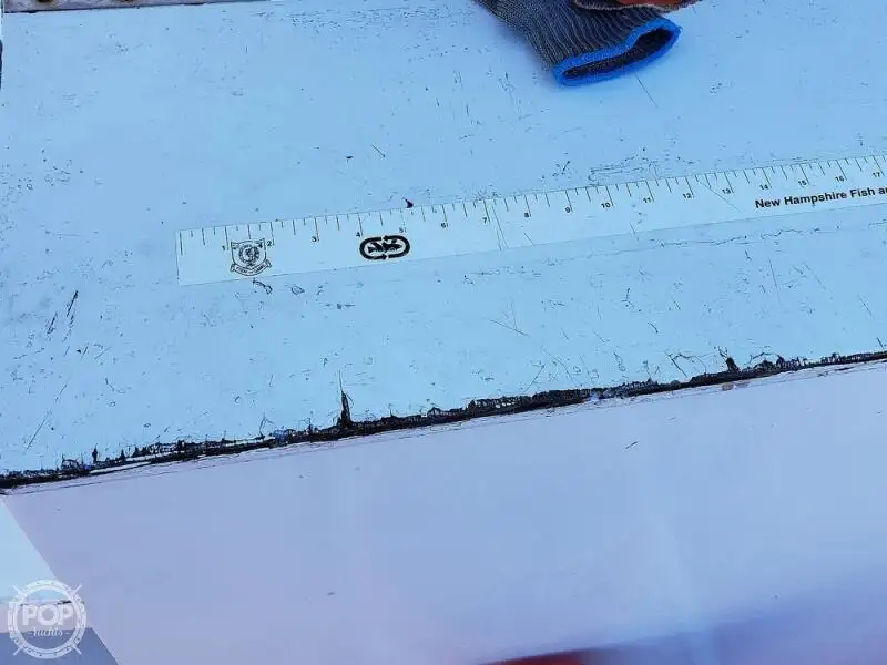Veerboot te koop