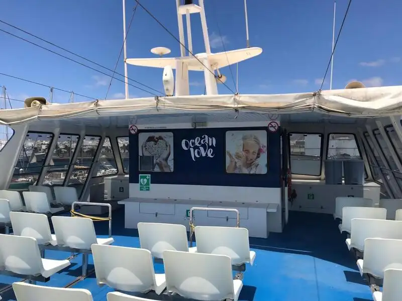 Catamaran te koop