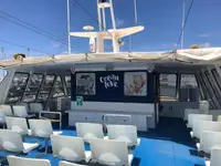 Catamaran te koop