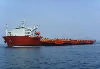 Bulkcarrier te koop