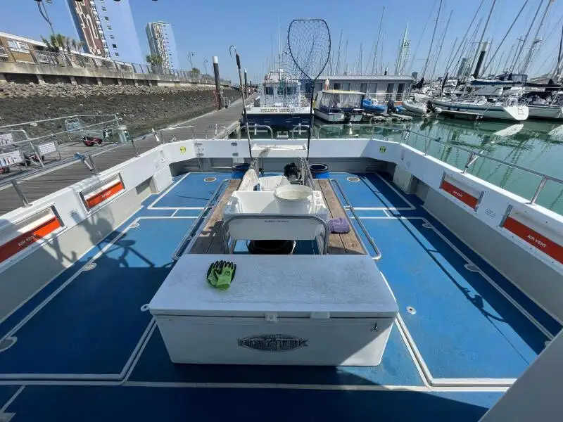 Catamaran te koop