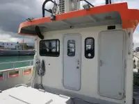 Catamaran te koop