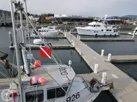 Reddingsboot te koop