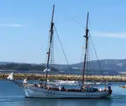 Veerboot te koop