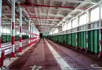 Ro-Ro-schip te koop