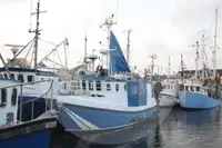 Levend vis transport schip te koop