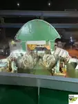 Ro-Ro-schip te koop