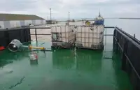 Barge te koop