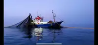 Trawler Te koop