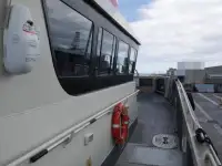 Catamaran te koop