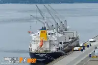 Bulkcarrier te koop