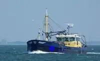 Beurtvisser te koop