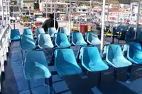 Passagiersschip Te koop