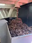 Werkboten te koop