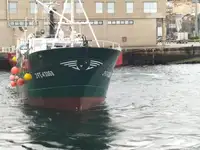 Trawler te koop