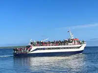 Passagiersschip Te koop