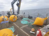 Werkboten te koop