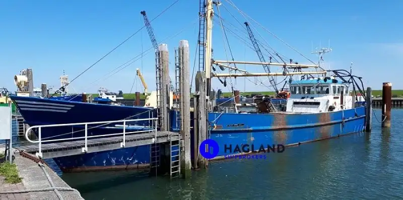 Barge te koop