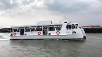Catamaran te koop