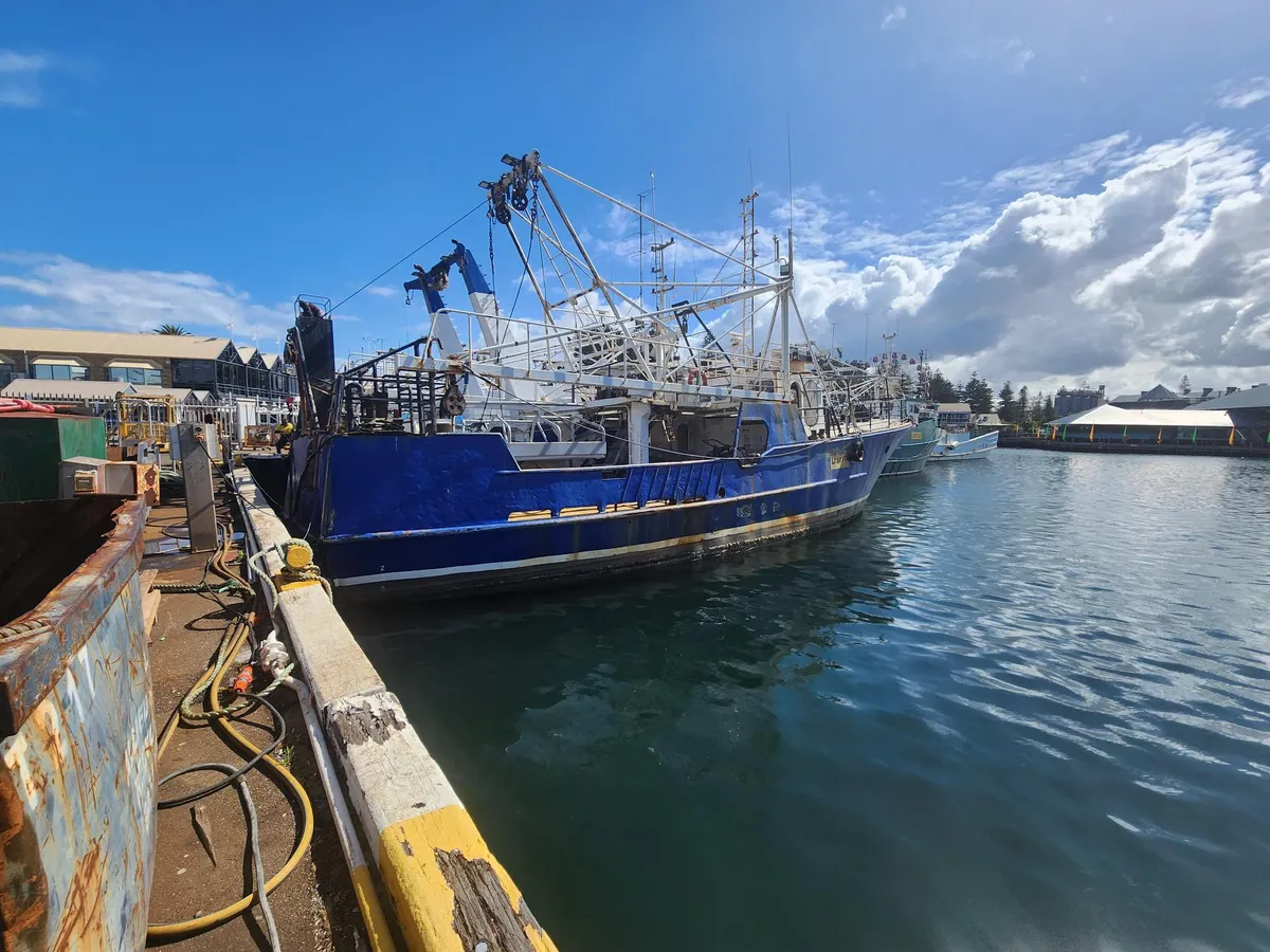 Trawler te koop