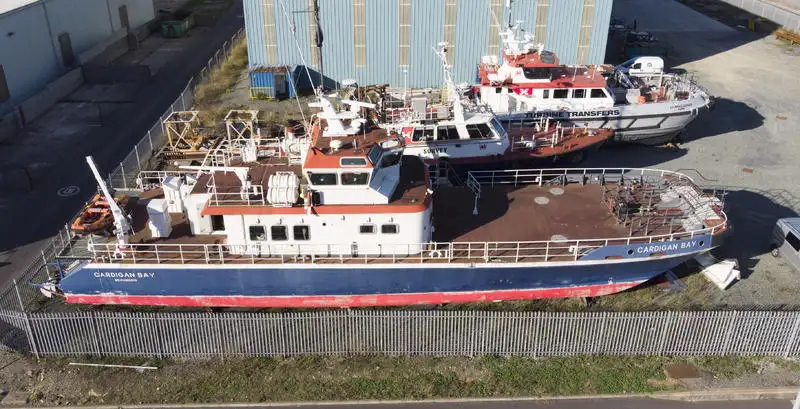 Catamaran te koop