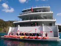 Catamaran te koop